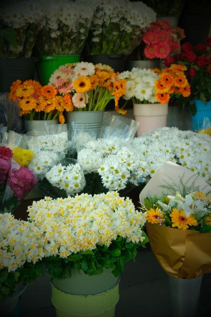 An assortment of fresh floral arrangements and bouquets displayed outdoors, featuring a variety of flowers including white daisies, yellow chrysanthemums, pink and white gerberas, and orange marigolds